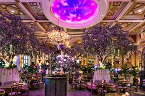 VANDERPUMP COCKTAIL GARDEN
