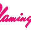 Flamingo Logo 