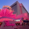 Flamingo Exterior